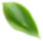 slider4-21.png