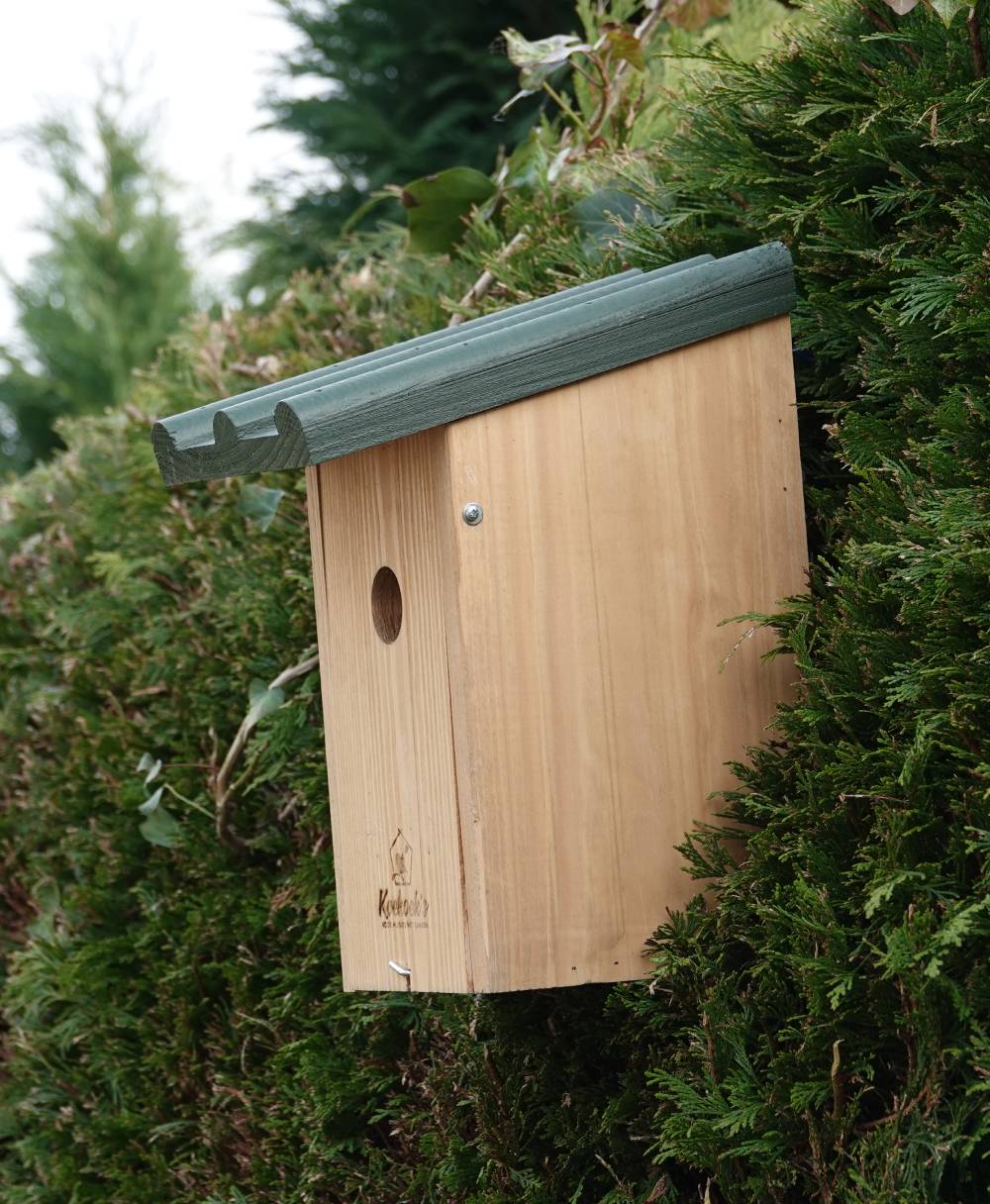 Vogelhuisje met camera – Golfdak groen – buiten zijkant 2 Vogelhuisje met camera – Golfdak groen – buiten zijkant 2