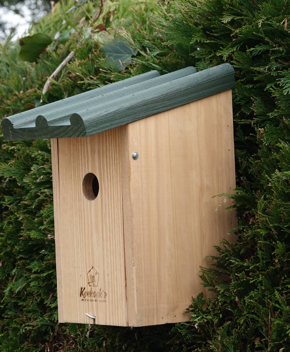 Vogelhuisje met camera – Golfdak groen – buiten zijkant Vogelhuisje met camera – Golfdak groen – buiten zijkant