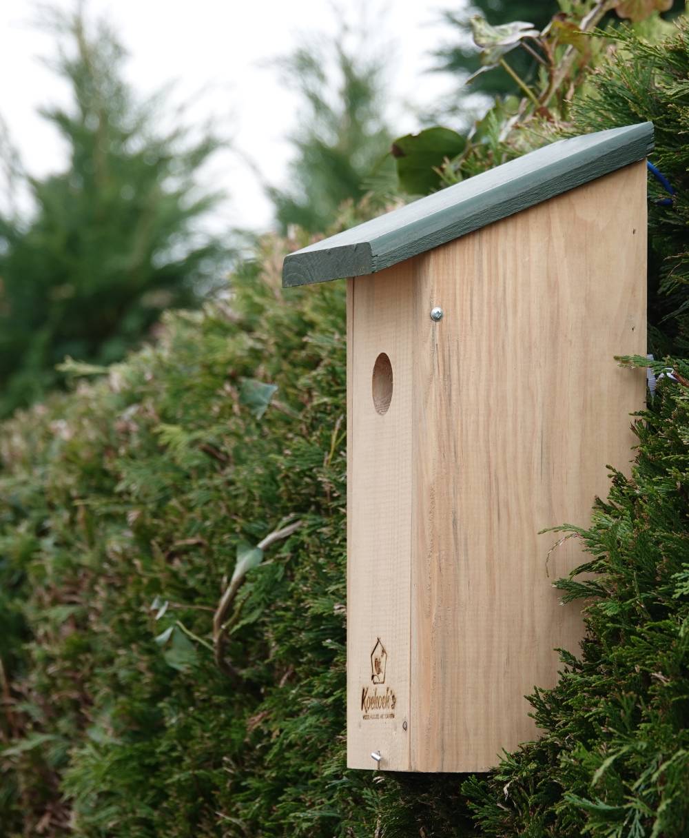 Vogelhuisje met camera – langwerpig – buiten zijkant 2 Vogelhuisje met camera – langwerpig – buiten zijkant 2