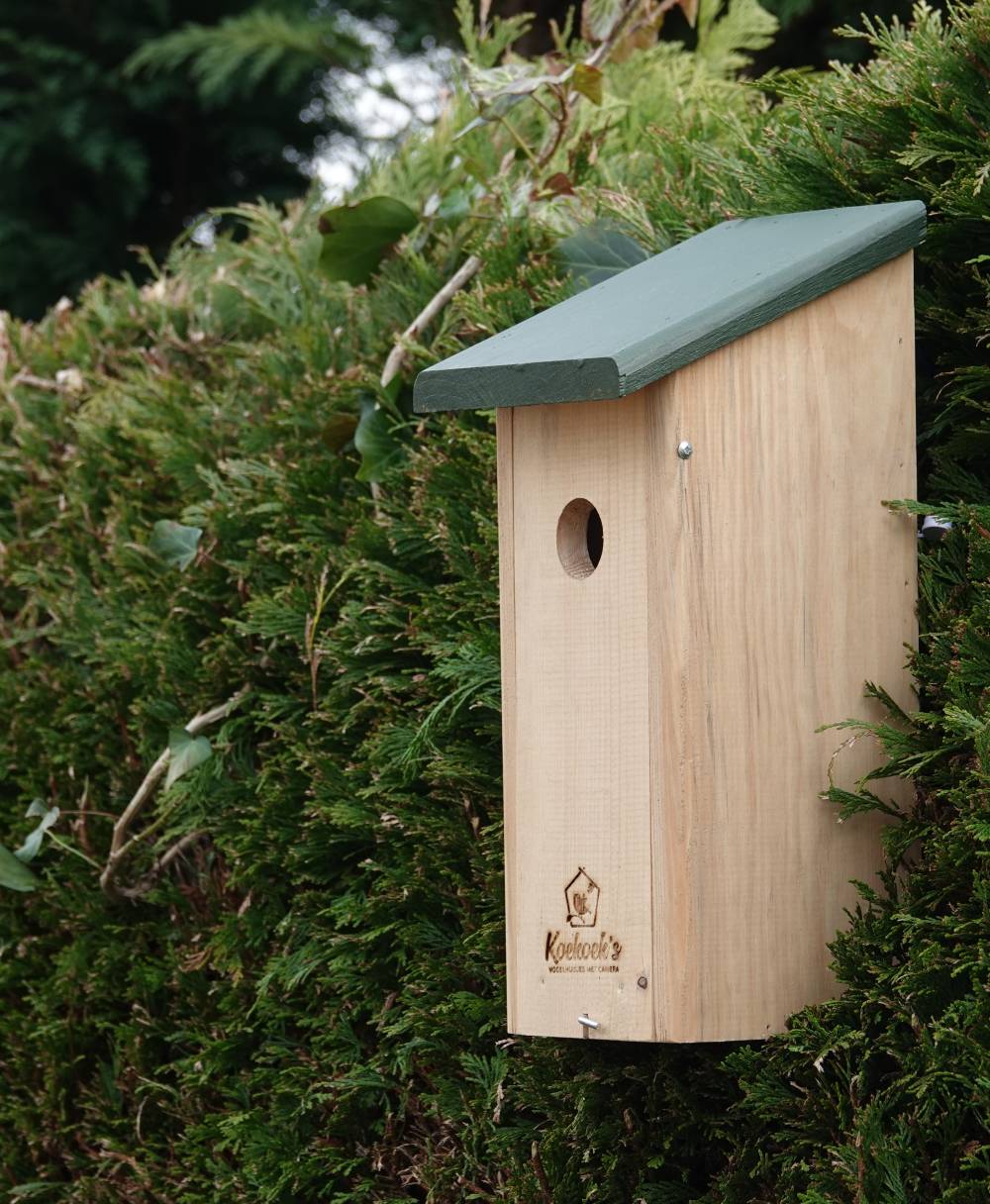 Vogelhuisje met camera – langwerpig – buiten zijkant Vogelhuisje met camera – langwerpig – buiten zijkant