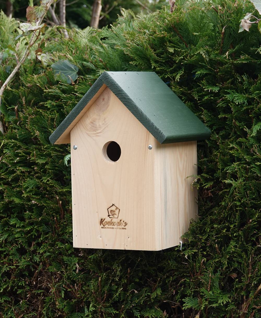 Vogelhuisje met camera – normaal groen dak – buiten zijkant Vogelhuisje met camera – normaal groen dak – buiten zijkant