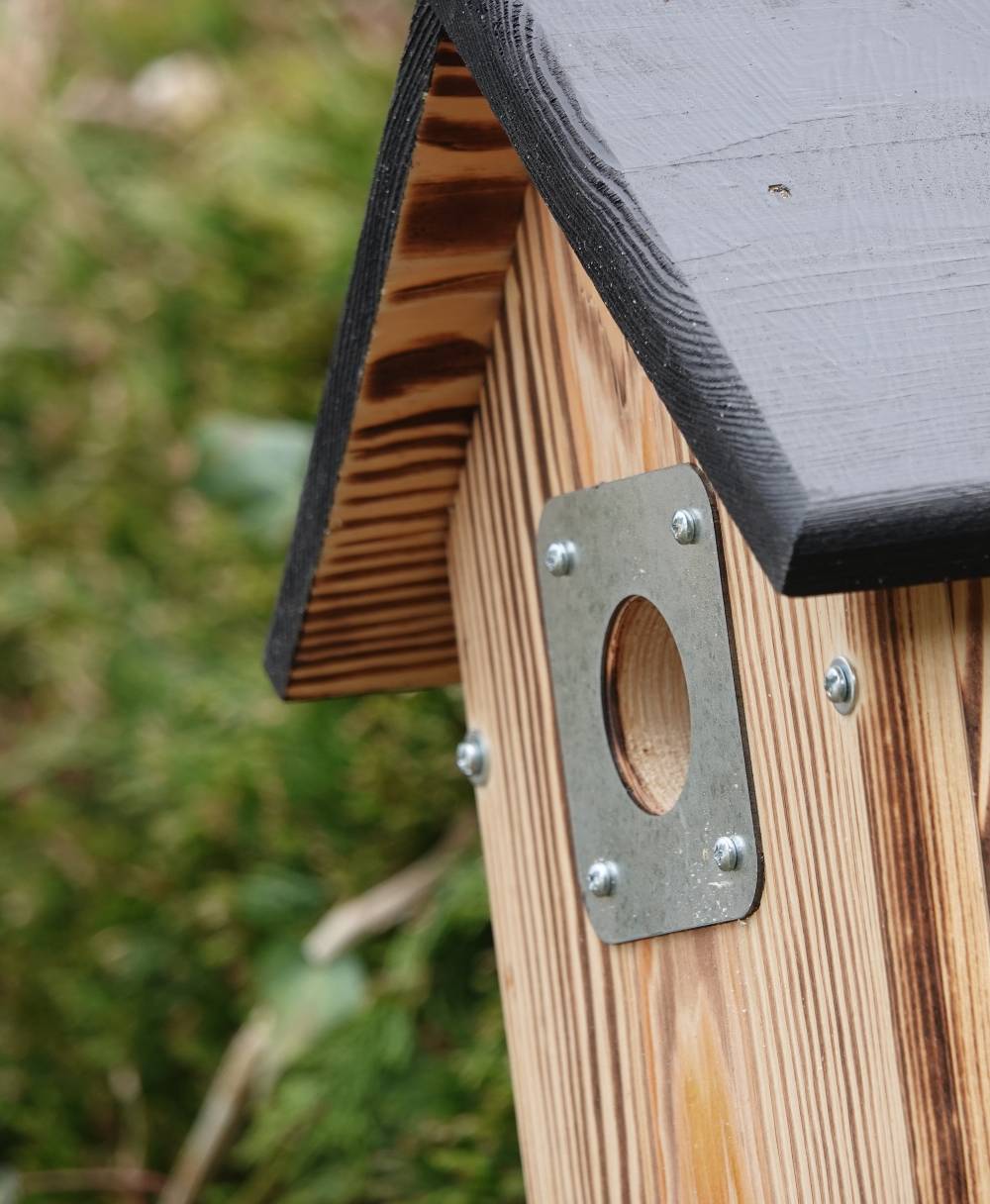 Vogelhuisje met camera – normaal zwart dak – buiten detail Vogelhuisje met camera – normaal zwart dak – buiten detail