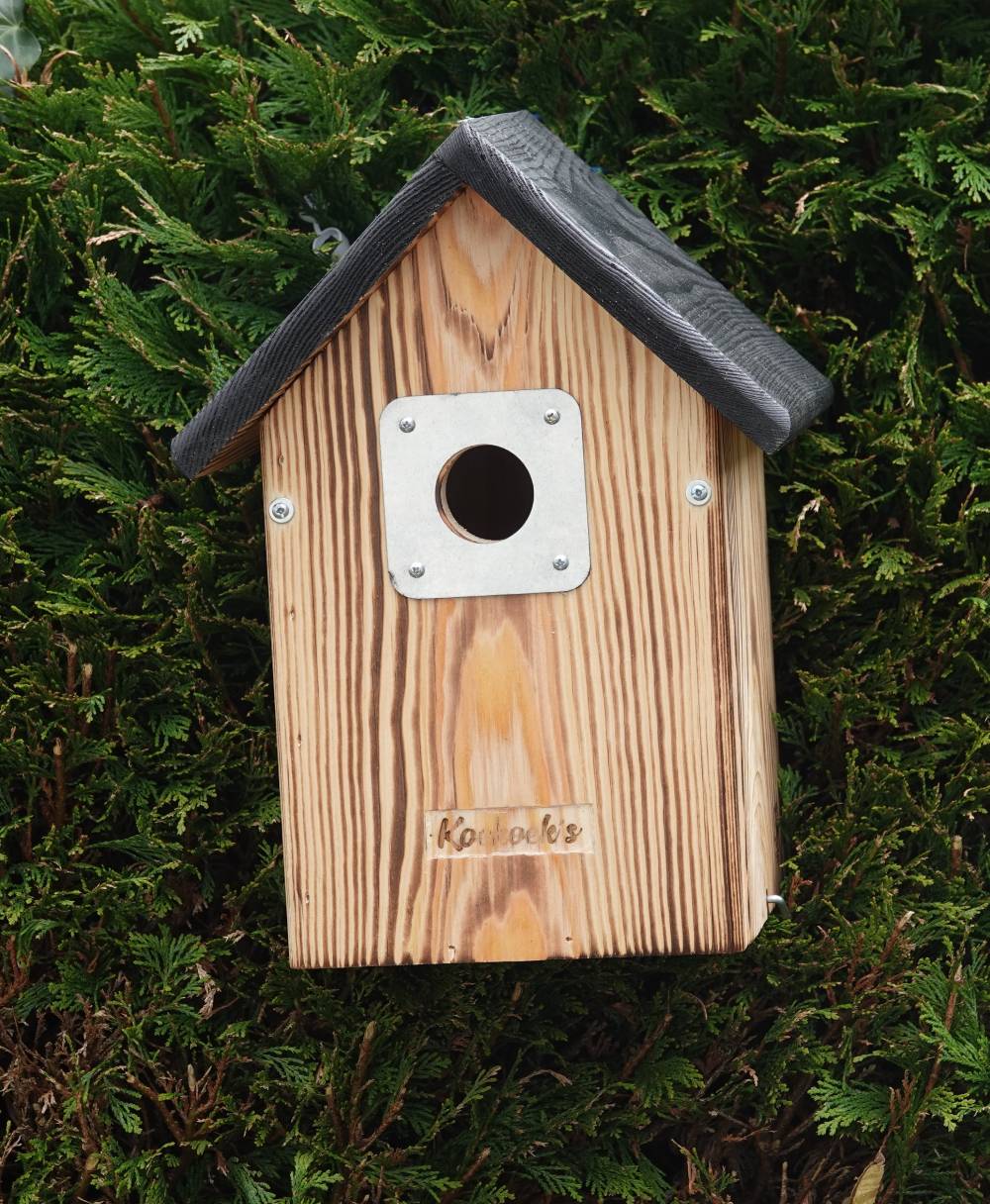 Vogelhuisje met camera – normaal zwart dak – buiten voorkant Vogelhuisje met camera – normaal zwart dak – buiten voorkant