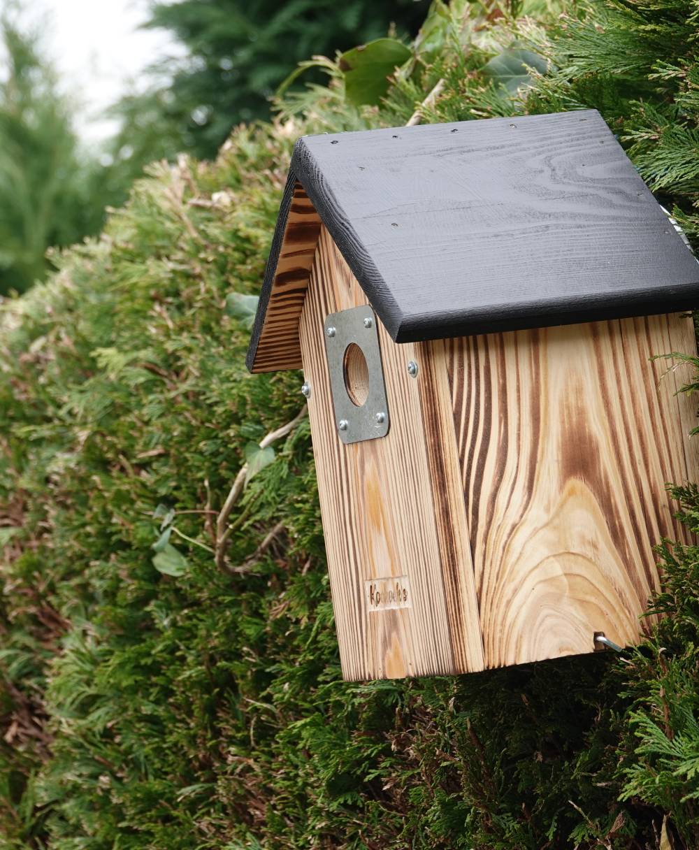 Vogelhuisje met camera – normaal zwart dak – buiten zijkant 2 Vogelhuisje met camera – normaal zwart dak – buiten zijkant 2
