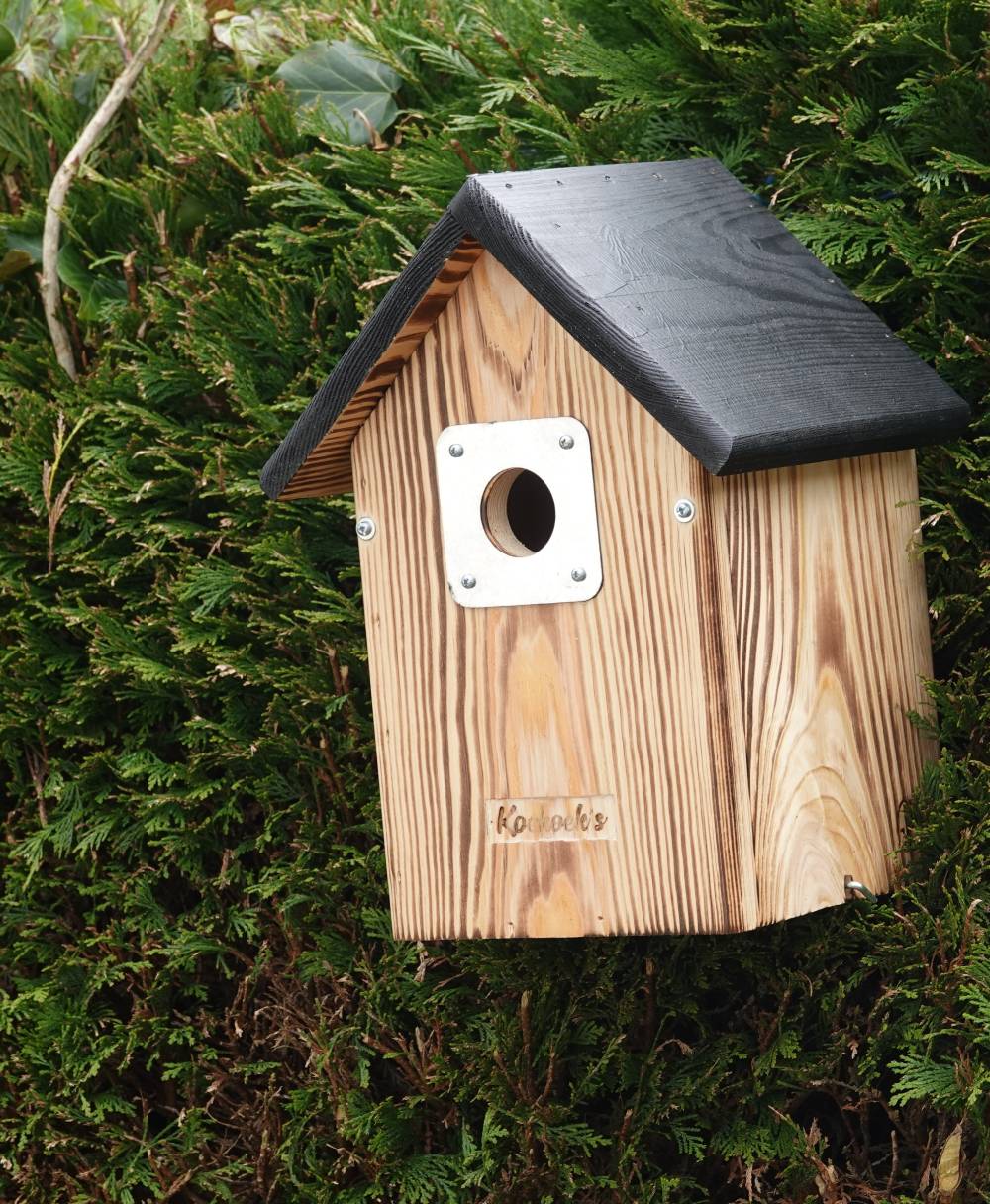 Vogelhuisje met camera – normaal zwart dak – buiten zijkant Vogelhuisje met camera – normaal zwart dak – buiten zijkant