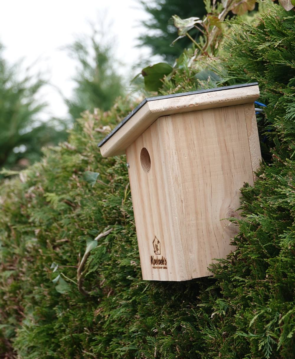 Vogelhuisje met camera – stenen dak – biuten zijkant 2 Vogelhuisje met camera – stenen dak – biuten zijkant 2