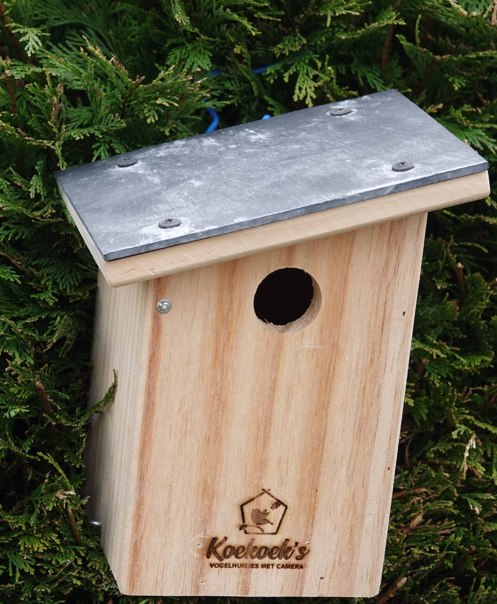 Vogelhuisje met camera – stenen dak – buiten dak Vogelhuisje met camera – stenen dak – buiten dak