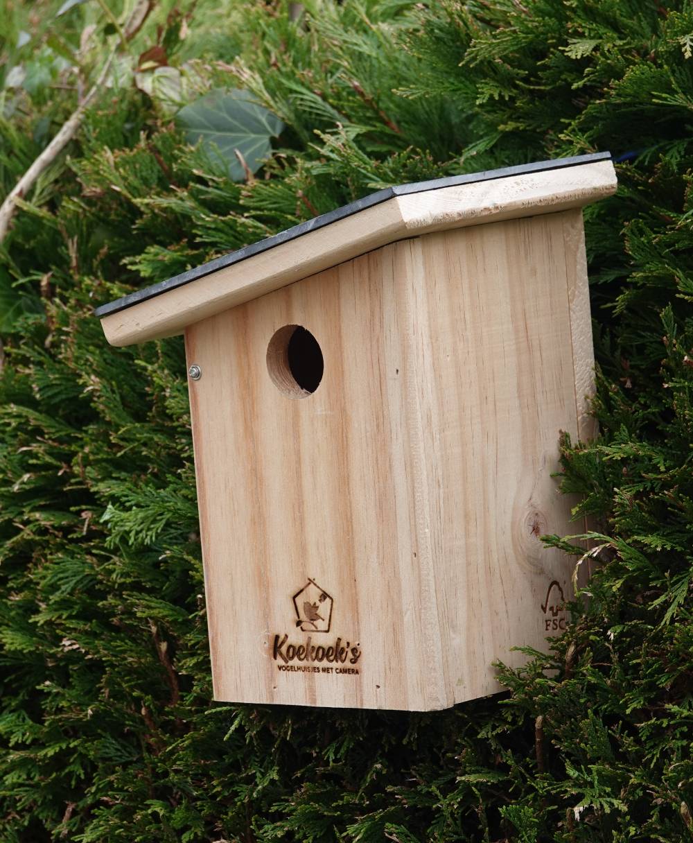 Vogelhuisje met camera – stenen dak – buiten zijkant Vogelhuisje met camera – stenen dak – buiten zijkant