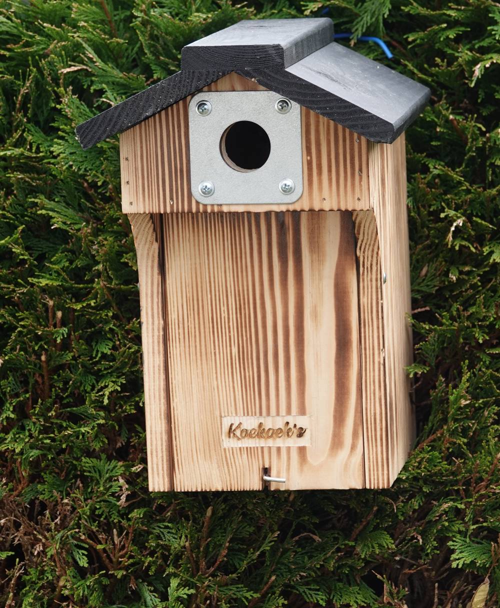 Vogelhuisje met camera – zwart dak diepe ingang – buiten voorkant Vogelhuisje met camera – zwart dak diepe ingang – buiten voorkant